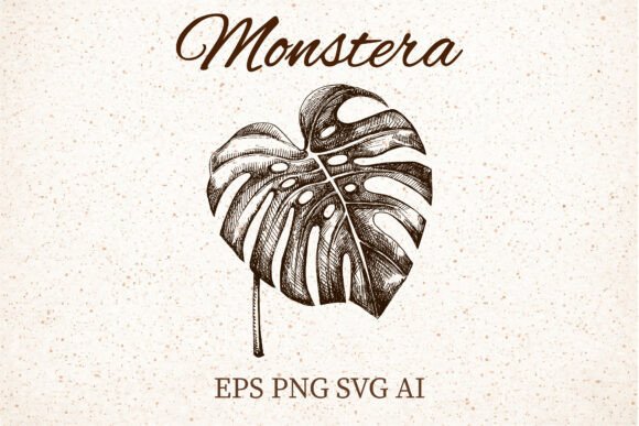 Monstera Leaf Clipart EPS PNG AI SVG Review
